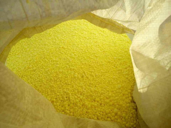 گوکرد صادراتی قرقیزستان ( فروش قیمت تولید کننده واردات صادرات عمده )